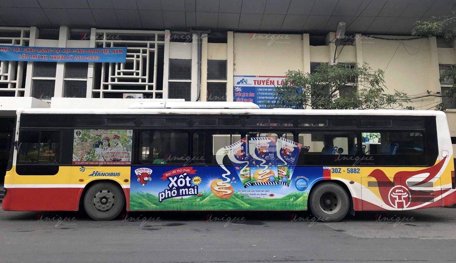 quảng cáo xe buýt cho con bò cười