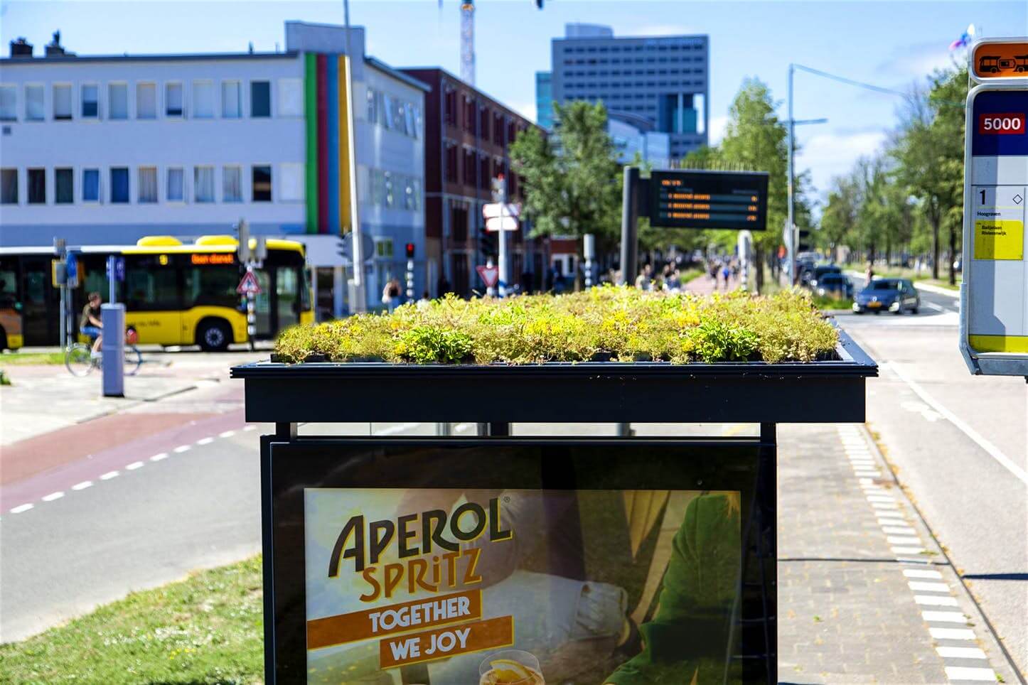 Thích mê với những nhà chờ xe buýt đầy hoa cỏ của Hà Lan