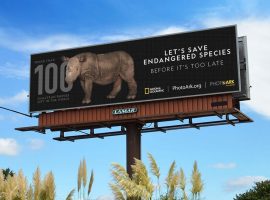 chiến dịch quảng cái ngoài trời cứu trợ động vật hoang dã có nguy cơ tuyệt chủng