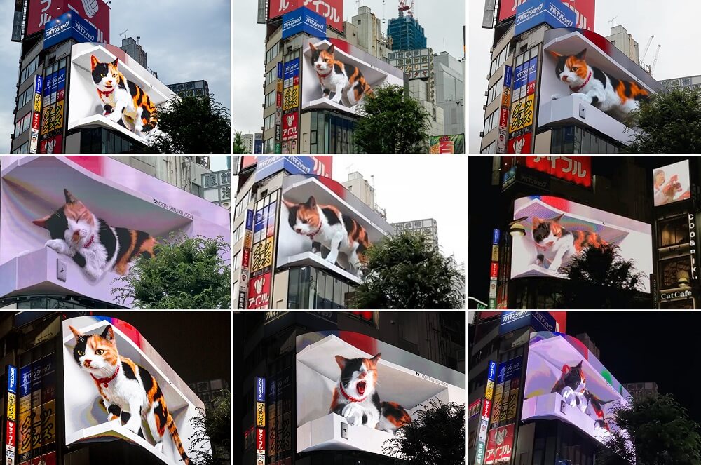 Chú mèo khổng lồ xuất hiện trên Billboard LED 3D tại Ga Shinjuku (Nhật Bản)