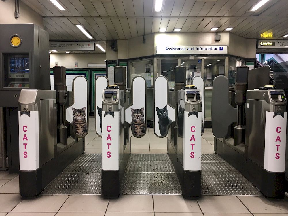 Quảng cáo ga tàu điện ngầm với hình ảnh những chú mèo mang đến niềm vui cho mọi người