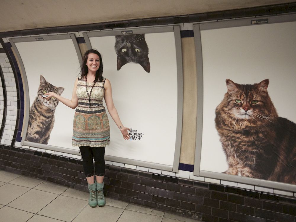 Quảng cáo ga tàu điện ngầm với hình ảnh những chú mèo mang đến niềm vui cho mọi người