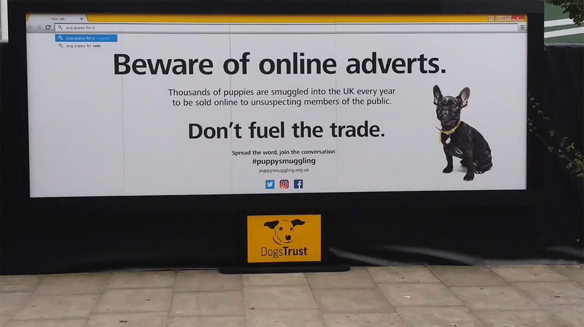 Biển quảng cáo tương tác từ 750 chú chó nhồi bông truyền thông điệp dừng nhập khẩu chó cảnh bất hợp pháp