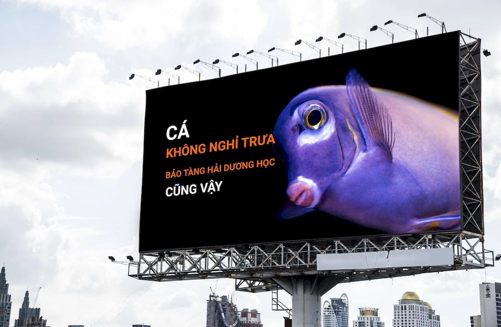 Creative OOH #22: Billboard quảng cáo với thông điệp thú vị của Viện Hải Dương Học “gây sốt” cộng đồng mạng
