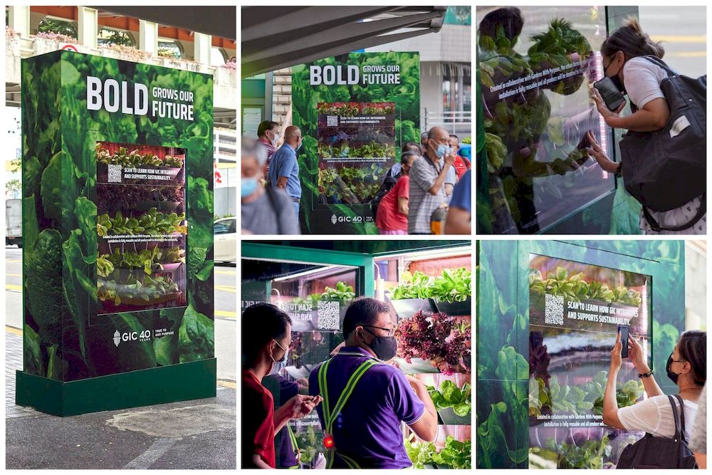 Creative OOH #23: Quỹ đầu tư của Singapore trồng rau xanh bên trong biển quảng cáo đường phố