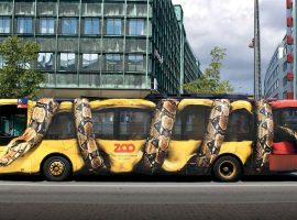 Creative Bus Advertising: Quảng cáo xe bus sáng tạo của Copenhagen Zoo